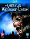 An American Werewolf in London on Random Best Horror Movies for Date Night