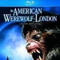 Jenny Agutter, Frank Oz, Rik Mayall   An American Werewolf in London is a 1981 horror comedy film written and directed by John Landis, and starring David Naughton, Jenny Agutter, and Griffin Dunne.