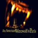 Julie Bowen, Julie Delpy, Tom Everett Scott   An American Werewolf in Paris is a 1997 comedy-horror film directed by Anthony Waller and starring Tom Everett Scott and Julie Delpy.