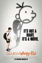 Diary of a Wimpy Kid on Random Movies Based On Books You Should Have Read In 4th Grad