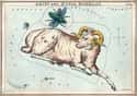 Aries (March 21 - April 19) on Random Most Compatible Zodiac Signs