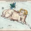 Aries (March 21 - April 19) on Random Most Compatible Zodiac Signs