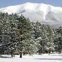 Arizona Snowbowl on Random Best Places to Ski in the US