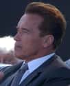 Arnold Schwarzenegger on Random Celebrities Who Divorced After Age 60