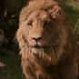 Aslan is listed (or ranked) 2 on the list A Sprint Names