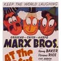 Groucho Marx, Harpo Marx, Eve Arden   At the Circus is a 1939 Marx Brothers comedy film released by Metro-Goldwyn-Mayer in which they save a circus from bankruptcy.