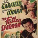 The Fallen Sparrow on Random Best Spy Movies of 1940s