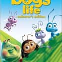 A Bug's Life on Random Best Movies for Kids