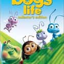 A Bug's Life on Random Greatest Kids Movies of 1990s