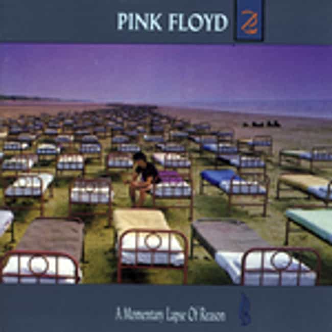 A Momentary Lapse of Reason