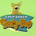 A Pup Named Scooby-Doo on Random Best Saturday Morning Cartoons for 80s Kids