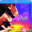 1995   Babe is a 1995 comedy-drama film, co-written and directed by Chris Noonan.