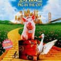 1998   Babe: Pig in the City is a 1998 Australian-American comedy-drama film and the sequel to the 1995 film Babe.