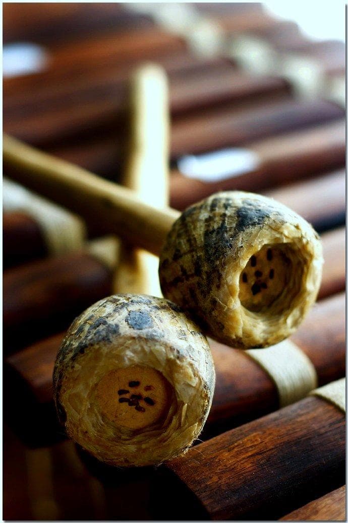 The Xylophone List of Musical Instruments in the Xylophone Family