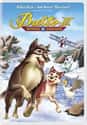 2004   Balto III: Wings of Change is a 2004 American straight-to-video sequel to Universal Studios' 2002 animated film Balto II: Wolf Quest, and the 1995 film Balto.