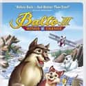2004   Balto III: Wings of Change is a 2004 American straight-to-video sequel to Universal Studios' 2002 animated film Balto II: Wolf Quest, and the 1995 film Balto.