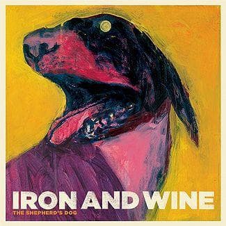 All Iron & Wine Albums Ranked Best To Worst By Fans