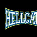 Hellcats on Random Best Shows Canceled After a Single Season