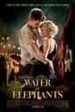 Water for Elephants on Random Best Romance Drama Movies