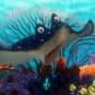 Mr. Ray is listed (or ranked) 11 on the list Cartoons/Comics: Best Fish (and Whales & Sea Creatures)