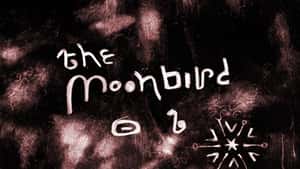 The Moon Bird