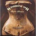 Bare Bones on Random Best Wishbone Ash Albums