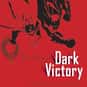 Batman: Dark Victory is listed (or ranked) 11 on the list The Best Batman Comics