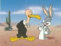 Beaky Buzzard on Random Best Looney Tunes Characters