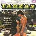 Adventures of Tarzan is listed (or ranked) 11 on the list The Best Kimi Katkar Movies