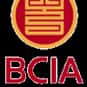 Beijing Capital International ... is listed (or ranked) 8 on the list The Busiest Airports in the World