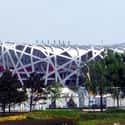 Beijing National Stadium on Random Top Must-See Attractions in Beijing