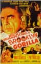 Bela Lugosi Meets a Brooklyn Gorilla on Random Worst Movies