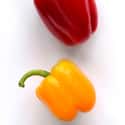 Bell pepper on Random Tastiest Vegetables Everyone Loves Eating