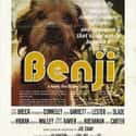 Benji on Random Best Kids Movies of 1970s