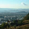 Berkeley on Random Best Cities For Millennials