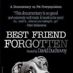 The Best Animal Documentaries, Ranked By Fans