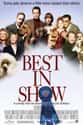 Best in Show on Random Best Movies Directed by the Star