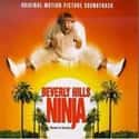 Chris Rock, Chris Farley, Nicollette Sheridan   Beverly Hills Ninja is a 1997 American martial arts comedy film directed by Dennis Dugan, written by Mark Feldberg and Mitch Klebanoff.