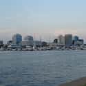 Norfolk on Random Best Southern Cities To Live In