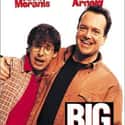 1996   Big Bully is a 1996 American comedy-drama film starring Rick Moranis and Tom Arnold.