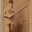 Billy Hamilton is listed (or ranked) 14 on the list Longest Hitting Streaks in Baseball