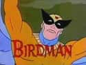 Birdman and the Galaxy Trio on Random Best 1960s Animated Series
