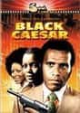 Black Caesar on Random Best Exploitation Movies of 1970s