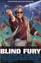 Blind Fury on Random Best Kung Fu Movies of 1980s