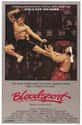 Bloodsport on Random Best Kung Fu Movies of 1980s