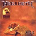 Risk on Random Best Megadeth Albums