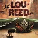 Lou Reed on Random Best Lou Reed Albums
