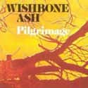 Pilgrimage on Random Best Wishbone Ash Albums