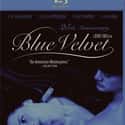 Blue Velvet on Random Best Mystery Thriller Movies
