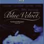 Blue Velvet is listed (or ranked) 16 on the list Roger's Top 60 Hot & Spicy Cougar Movies